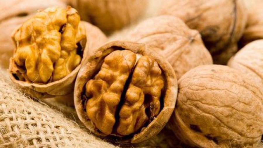 Лучшие продукты для повышения интеллекта и концентрации внимания - Наука и здоровье