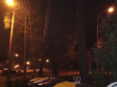 Человека, выбросившего строительный мусор, зафиксировала камера видеонаблюдения - В Висагинасе