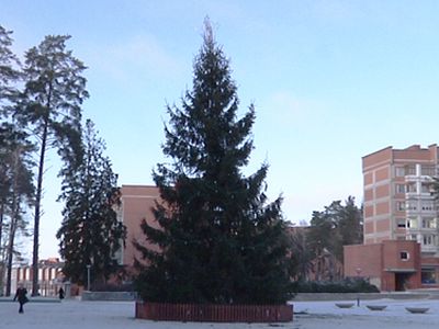 Елочка, зажгись!                                                 - В Висагинасе