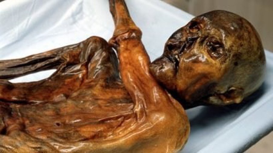 Человечеству угрожают оттаявшие мертвецы - Наука и здоровье