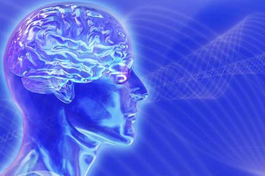 Как мозг обрабатывает зрительную информацию - Наука и здоровье