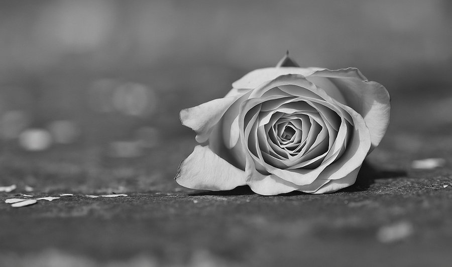 Полиция расследует обстоятельства трагической смерти молодой висагинки - Происшествия и криминал