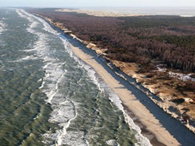 Лукашенко предложил забрать у России Калининград - В Мире