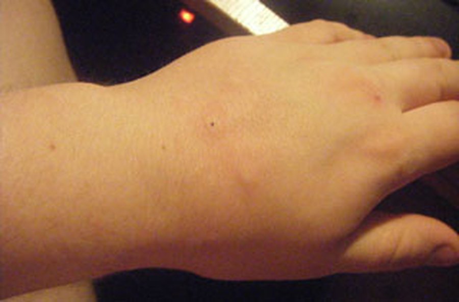 Сводка криминальных происшествий  за период 26—27 апреля 2010 года - Происшествия и криминал