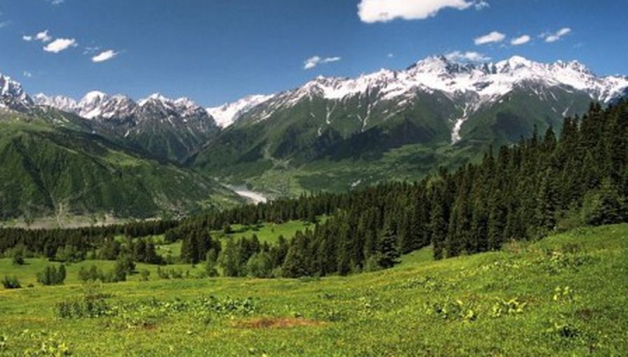 ЕС выделит 40 млн евро для сельского хозяйства Грузии
 - В Мире