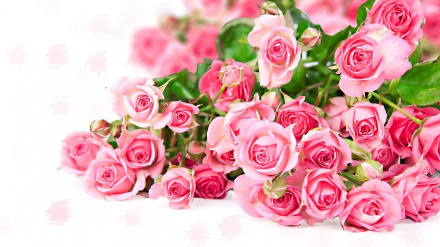 Марину Леонидовну Первушину поздравляем с Юбилеем! - Поздравления