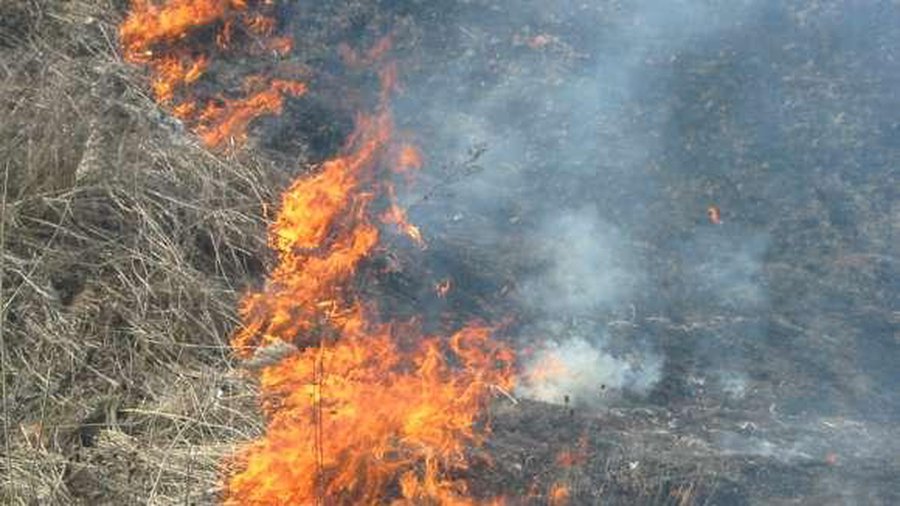 Пожарные предупреждают: не жги прошлогоднюю траву! - В Висагинасе