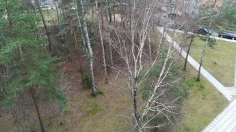 Почему в городе на одних участках листья убирали, а на других нет?