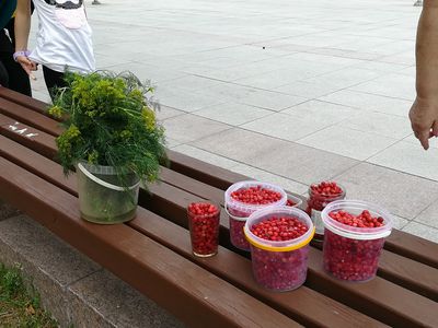 Сезон в разгаре, а новых прилавков для уличной торговли до сих пор нет - В Висагинасе