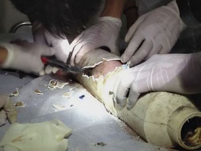 В Китае спасли застрявшего в трубе новорожденного, которого смыла в канализацию мать (ВИДЕО) - Происшествия и криминал