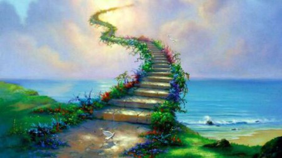 Сны и сновидения: чем мозг занимается по ночам? - Наука и здоровье