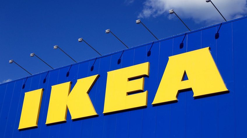 "Ikea" стала крупнейшим владельцем частного леса в Литве