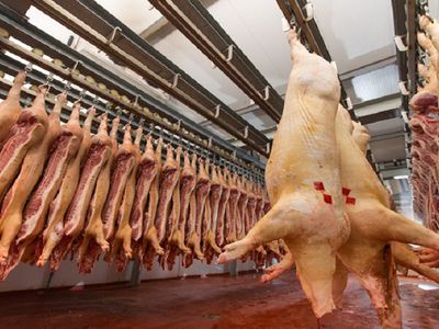 В ближайшее время должна состоятся встреча министров сельского хозяйства Польши и Литвы по вопросу импорта свинины - Литва и страны Балтии