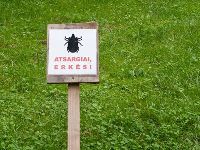 Болезнью Лайма заразилось больше клайпедчан - Наука и здоровье