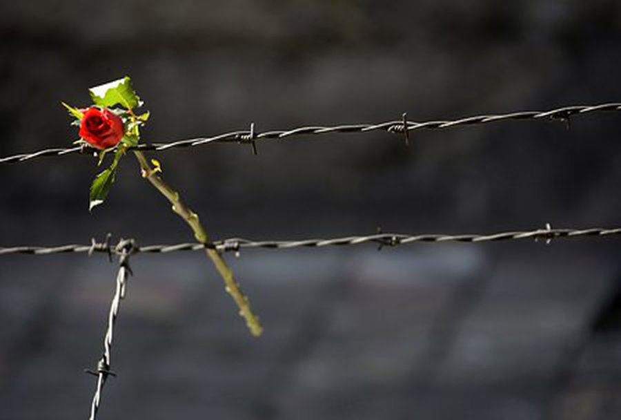 В Литве прошли траурные мероприятия, приуроченные к 70-летию Холокоста


                                 - Литва и страны Балтии
