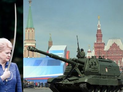 Президент информирована об провокациях против нее лично и Литвы

 - Литва и страны Балтии