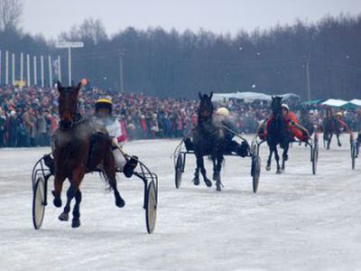Sartai kviečia žirgų ir greičio mylėtojus                 - Lietuva ir Baltijos šalys