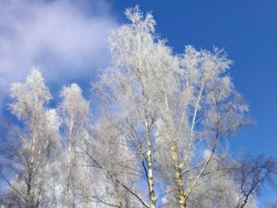 Sinoptikai: laukia žiemiškas savaitgalis, bet šeštadienį džiugins saulė - Lietuva ir Baltijos šalys