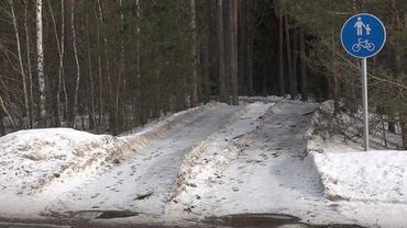 Лес рубят и вывозят по велосипедно-пешеходной дорожке (видео)