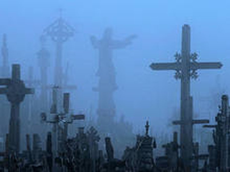 Американка два месяца пыталась воскресить труп, усадив его на унитаз - Хобби, отдых и развлечения