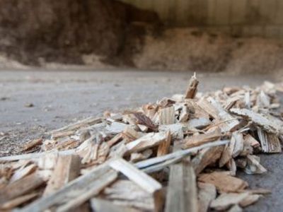 В Биржай, Скуодасе и Казлу Руде за биотопливо платят как за газ - Литва и страны Балтии