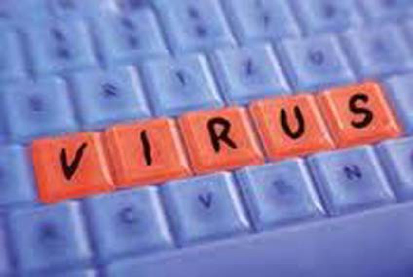 Самое большое количество вирусов проходит через поисковые системы

