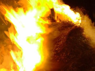 Прибалтийские крестьяне предъявят Евросоюзу горящее сено - Литва и страны Балтии