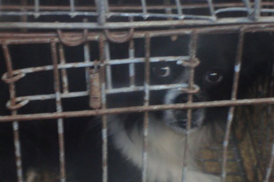 На «польты» пойдут?                                                                                                                                    - В Висагинасе