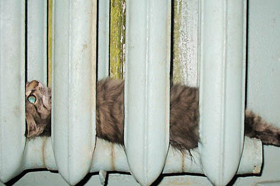 Завершается отопительный сезон                                 - В Висагинасе