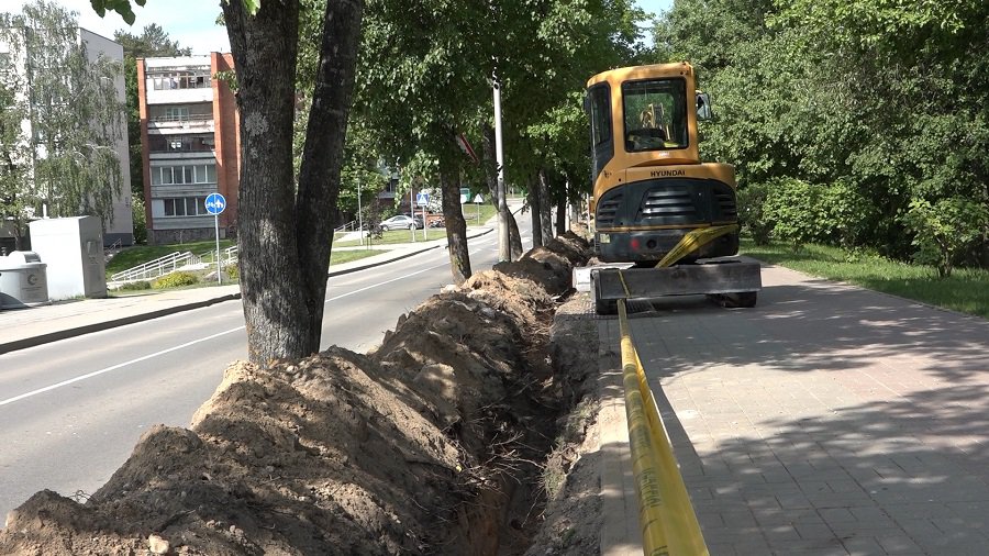 Выживут ли деревья после модернизации городской системы освещения? (видео) - В Висагинасе