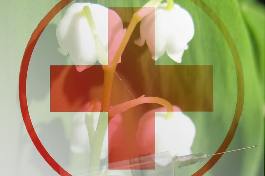 Те, без кого как без рук - В Висагинасе