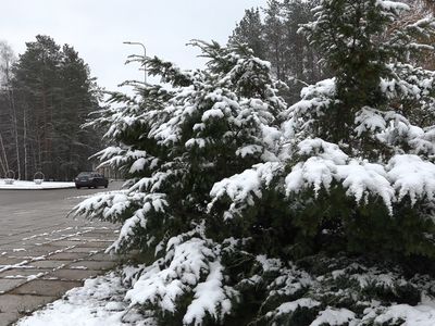Рекордный снегопад закончился – возвращаются морозы - Литва и страны Балтии