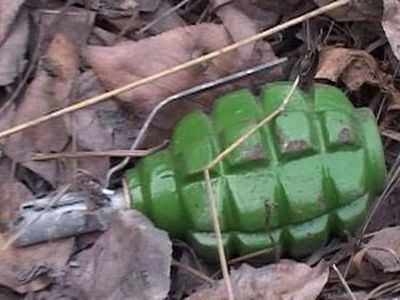 Грибник подорвался на гранате - Литва и страны Балтии