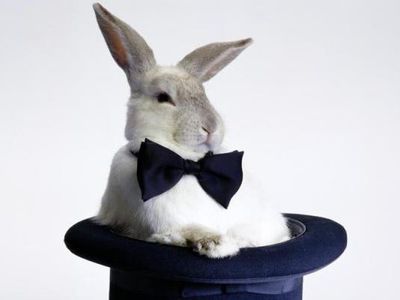 Наступил год металлического Кролика                                 - Хобби, отдых и развлечения