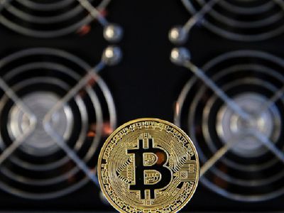 Курс биткойна опустился ниже $7 тыс. - Экономика и бизнес