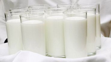 ГПВС: заражение диоксином обнаружено еще в семи пробах молока