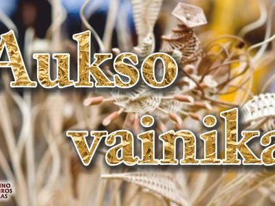 Подводятся итоги городского тура выставки-конкурса «Aukso vainikas» - В Висагинасе