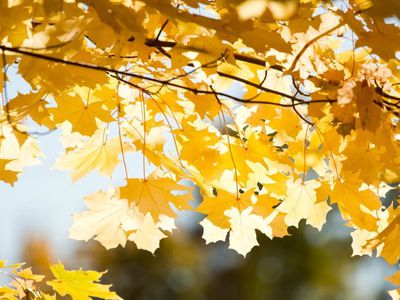 Погода: приятные перемены уже не за горами - Литва и страны Балтии