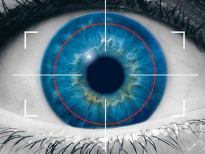 Компьютер сможет распознавать ложь по движению глаз                                                                 - IT новости
