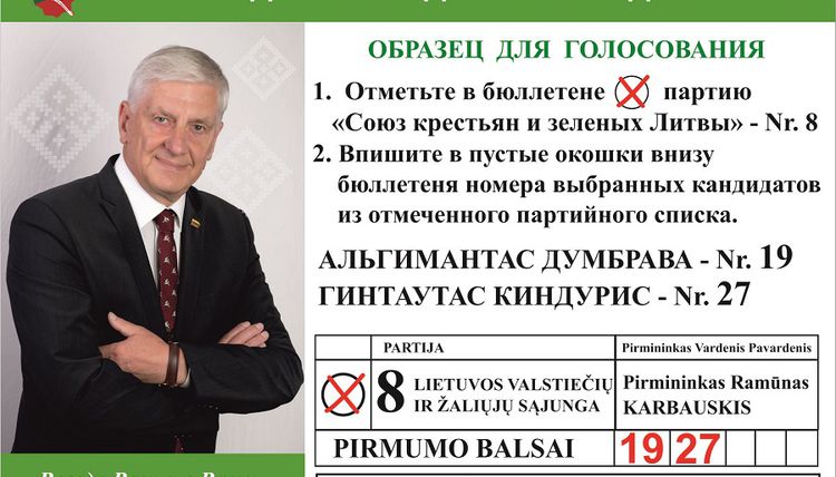 Светлана Бабуева: «Надеюсь, что новое правящее большинство Сейма займется решением проблем Висагинаса!»