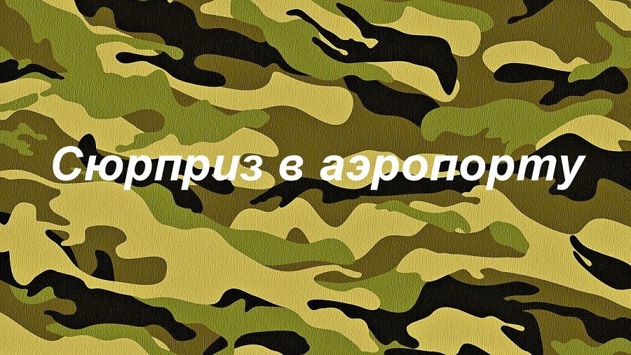 Юношу-инвалида в Литве задержали за то, что он не явился в военкомат - Литва и страны Балтии
