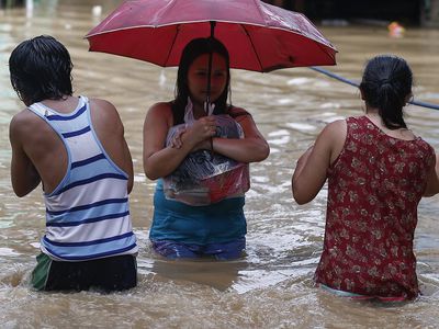 В Таиланде из-за наводнения пострадали 58 тыс. человек - В Мире