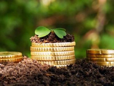 VMI primena: žemės mokesčiui sumokėti liko trys savaitės - Lietuva ir Baltijos šalys