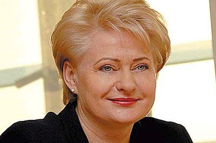 Глава Литвы: Переговоры о поставках украинского электричества уже ведутся
 - Энергетика