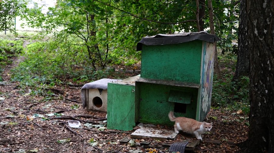 Laida "Savaitės kontūrai" 2025-10-08 - Visagine