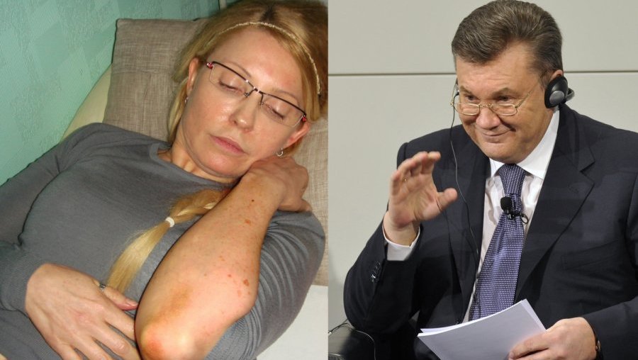 
V. Janukovyčius: Ukrainos įstatymai neleidžia suteikti malonės J. Tymošenko - Pasaulyje