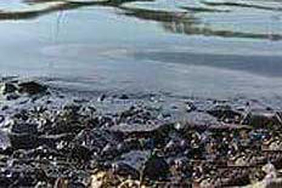 Жительница литовской деревни утопила двоих новорожденных детей - Происшествия и криминал