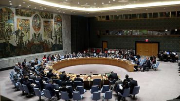 СБ ООН единогласно принял резолюцию об установлении 30-дневного перемирия в Сирии
