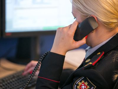 Нешуточные последствия шуток с телефоном доверия. Сообщение комиссариата полиции - В Висагинасе