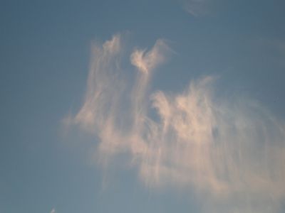 Ангелы хранят наш город                                                                                 - В Висагинасе